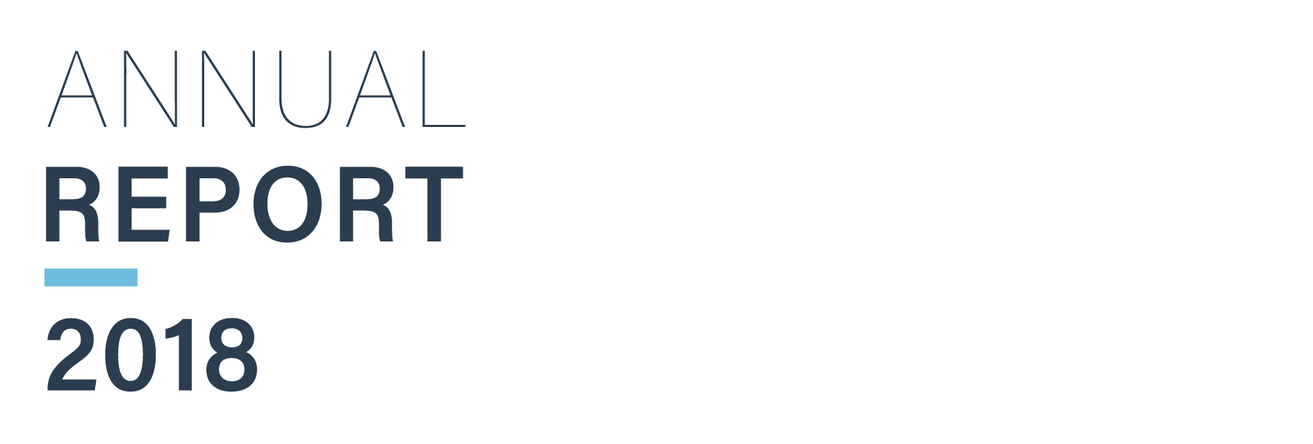 Annual Report 2018